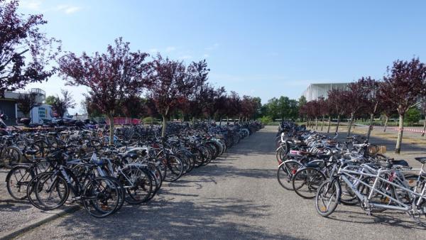 Wheelskeep : des parcs à vélos sécurisés et éphémères